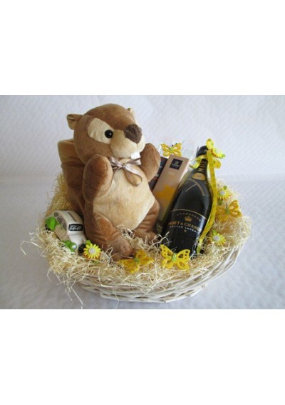 Newborn gift basket - squirrel soft toy