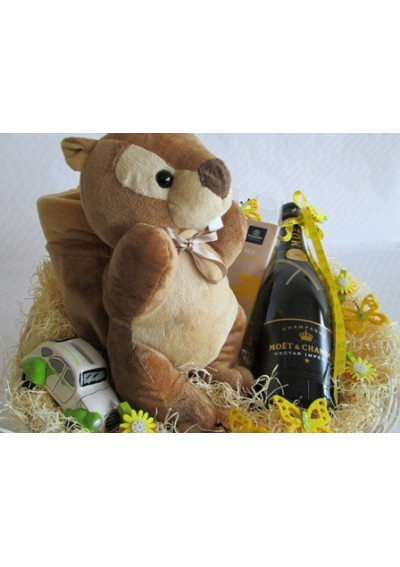 Newborn gift basket - squirrel soft toy