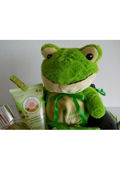 Cadeau naissance "Grenouille verte"