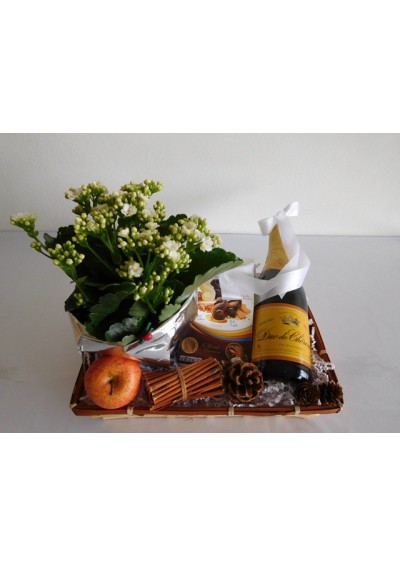 Chocolate and green plant gift basket