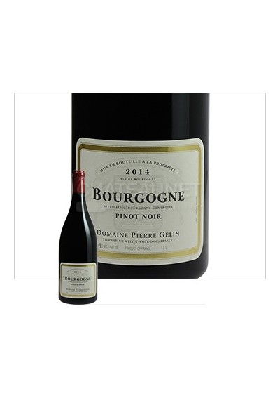 Bourgogne - Domaine Pierre Gelin - Pinot Noir 2014