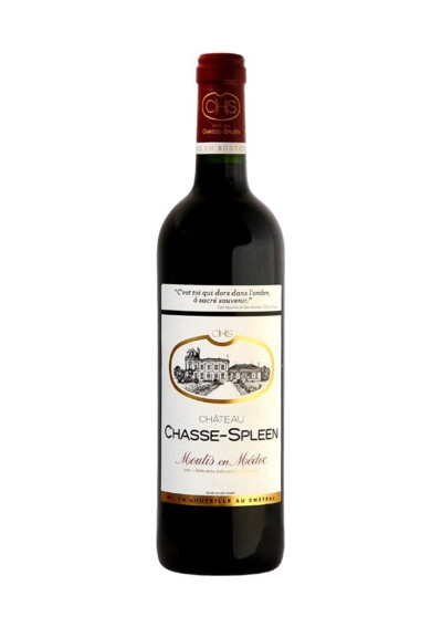 Château Chasse-Spleen 2015 - (75cl)