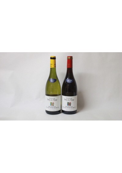 (2) Hautes-Côtes-De-Nuits 2019 - Hautes-Côtes-De-Nuits - blanc - 2019