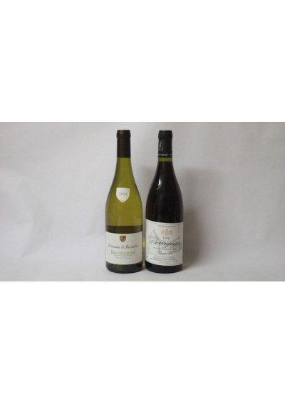 (2) Bourgogne 1999 - Chardonnay 2018