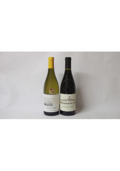 (2) Château Neuf Du-Pape 2019 - Macon 2018