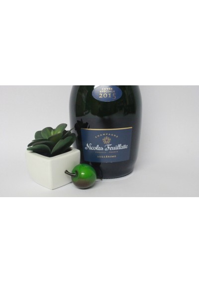 Champagne Nicolas Feuillatte Brut  millésime 2015