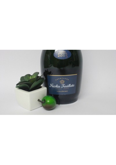 Champagne-Nicolas-Feuillatte-Brut-vintage-2015-75cl.jpg | Champagne Nicolas Feuillatte Brut  vintage 2015 — 75cl
