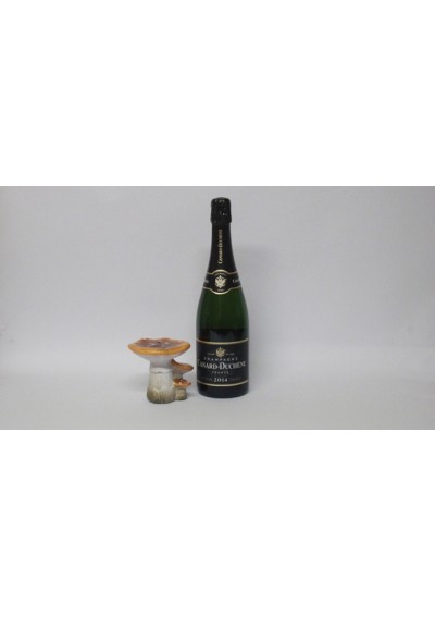 Champagne Canard Duchêne vintage 2014