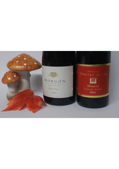 Prestige box of 2 bottles Morgon 2009 - 2011