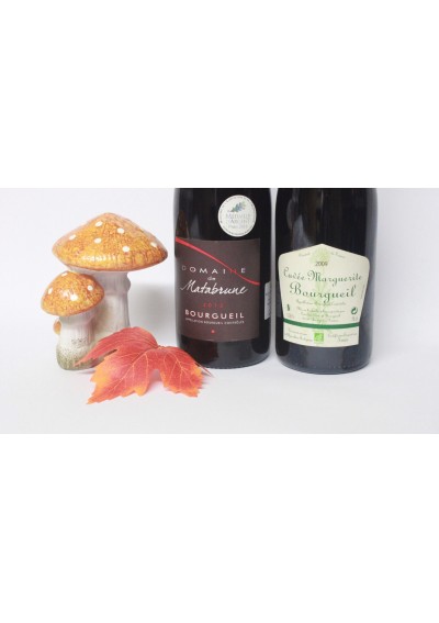 Box of 2 bottles of red wines : 1 Cuvée Marguerite Bourgueil 2009 - 1 Domaine De Matabrune 2013