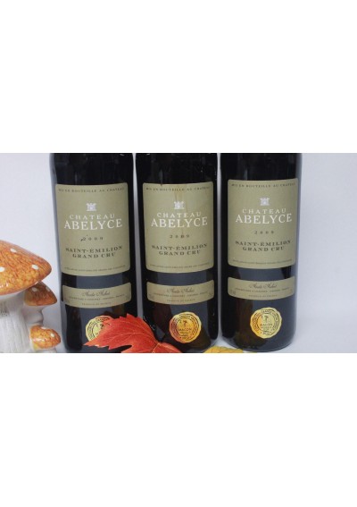 (3) gift box - 2009 - Saint-Emilion Grand Cru - Château Abelyce