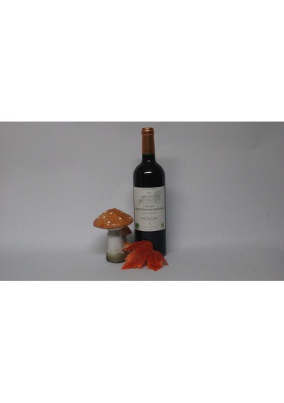Coffret-Saint-Emilion-2018-Bio-Grand-David-De-Mauvignon-1x75cl-02.jpg | Bouteille 75cl — étiquette Saint-Émilion