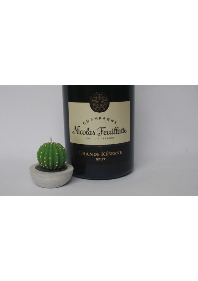 Champagne-Nicolas-Feuillatte-Magnum-150cl-03.jpg | Champagne Nicolas Feuillatte Magnum 150cl Champagne-Nicolas-Feuillatte-Magnum-150cl-03.jpg | Champagne Nicolas Feuillatte Magnum 150cl