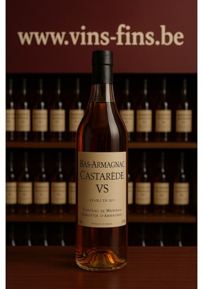 Bas-Armagnac Castarède VS - (50cl)