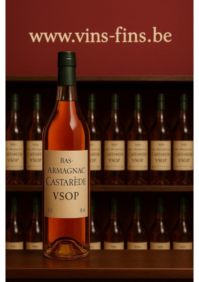 Bas-Armagnac Castarède VSOP - (50cl)