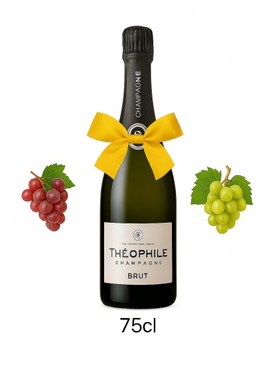 Champagne Théophile Roederer - Brut - (75cl)