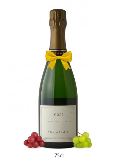 Champagne-Domaine-Les-Monts-Fournois-1er-Cru-Cote-Vertus-2010-épuisé