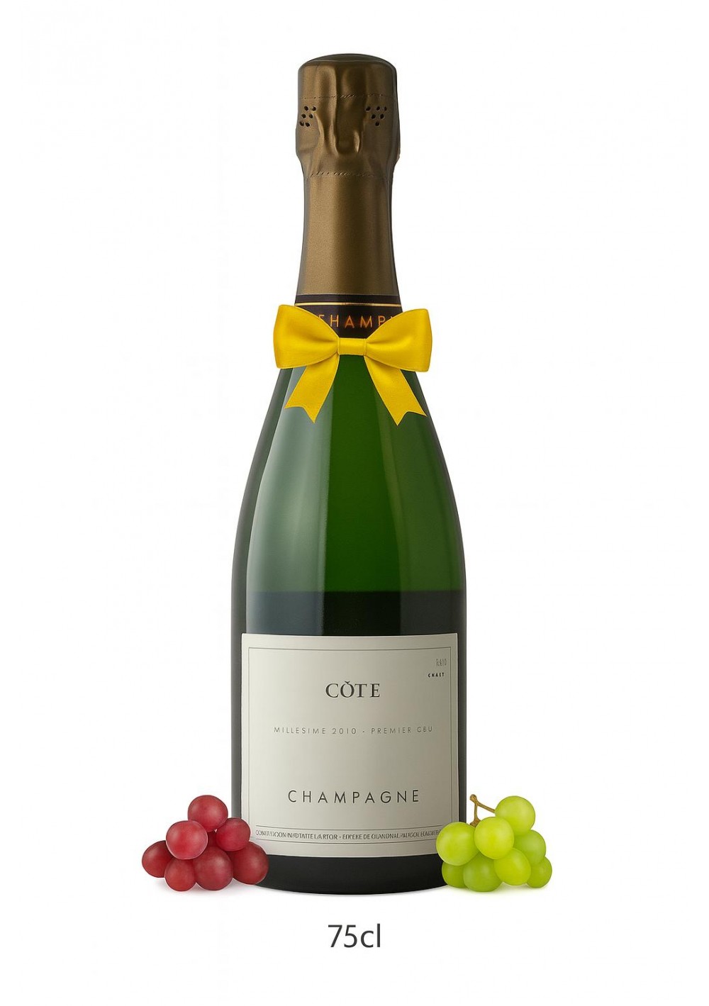 Champagne-Domaine-Les-Monts-Fournois-1er-Cru-Cote-Vertus-2010-épuisé