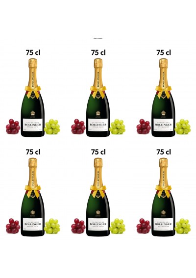 champagne-bollinger-special-cuvee-brut-75-cl-case-of-6-bottles.jpg