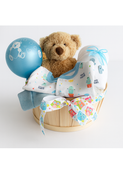 baby-boy-gift-basket-teddy.jpg