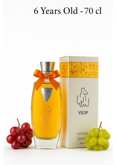 Cognac-Léopold-Gourmel-Carafe-Premieres-Saveurs-6-Years-old.jpg