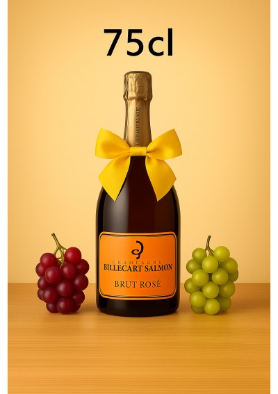 Champagne-Billecart-Salmon-Rose-75cl-FR.jpg | Champagne Billecart Salmon Rosé 75cl livraison Belgique