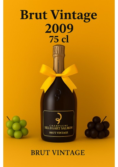 Champagne-Billecart-Salmon-2009-75cl.jpg | Champagne Billecart Salmon Millésime 2009