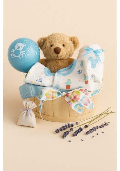 baby-boy-gift-basket-teddy.jpg |  Warmth and sweetness to welcome baby in style delivery Belgium