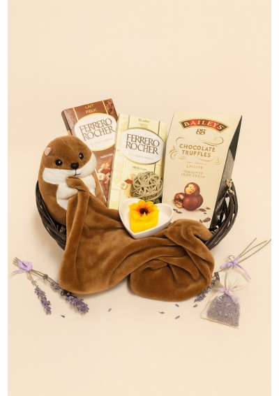Comforter-the-squirrel-basket-birth.jpg | Comforter the squirrel basket birth boy delivery Belgium