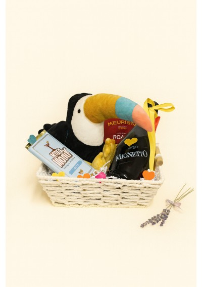 Little-toucan-birth-basketLittle-toucan-birth-basket.jpg |Little toucan - birth basketLittle toucan - birth basket