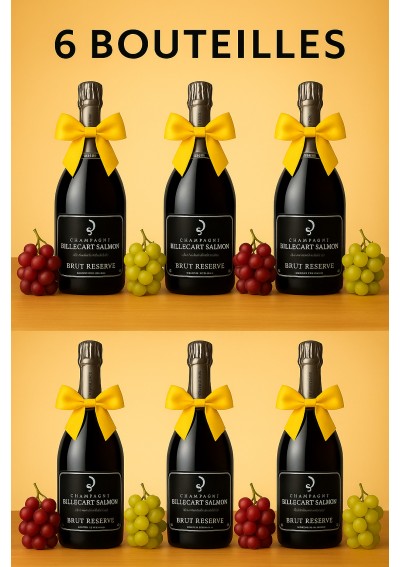 Champagne-Billecart-Salmon-Brut-Case-of-6-Bottles.jpg | Champagne Billecart-Salmon Brut – Case of 6 Bottles