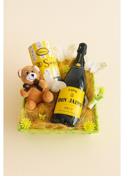 panier-detente-au-soleil-cava-don-jaime-bruxelles-01.jpg | Panier cadeau Cava Don Jaime – livraison Bruxelles