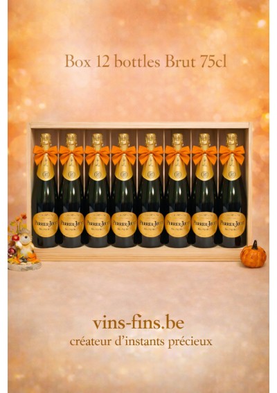 Champagne-Perrier-Jouet-Brut-Case-12x75cl-EN.jpg | Perrier-Jouët Brut – Case 12x75 cl – Brussels, Belgium