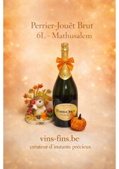 Champagne-Perrier-Jouet-Brut-Methuselah-6L-01-EN.jpg | Perrier-Jouët Brut Methuselah 6 L – Brussels, Belgium