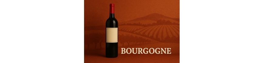 🍷 Bourgogne – Villages, Premier & Grand Cru – België