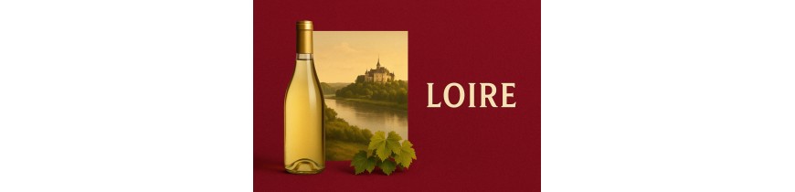 🍷 Loire – Sancerre, Vouvray, Chinon & more – Belgium