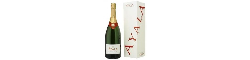 Champagne Ayala Groothandelaar België Brussel