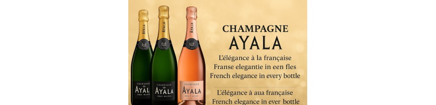 Champagne AYALA – Elegant & Verfrissend – Levering 24u