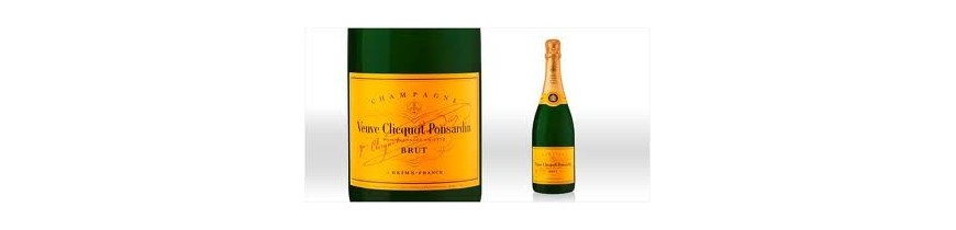 Champagne Veuve Clicquot Bruxelles Belgique  spécialiste champagnes