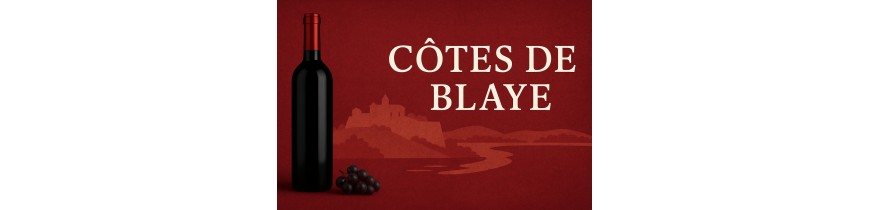 🍷 Côtes de Blaye – Right Bank Bordeaux, 24h delivery Belgium