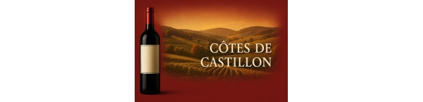 🍷 Côtes de Castillon – Right Bank Bordeaux, 24h Belgium