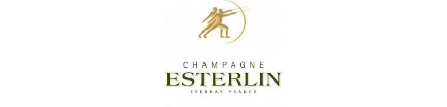 Grossiste Champagne Esterlin Bruxelles Belgique 