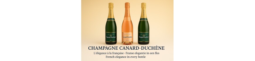 Champagne Canard-Duchêne, Belgium, Brussels