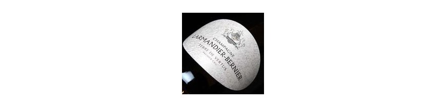 delivery big Champagne Larmandier-Bernier Belgium Brussels Belgium