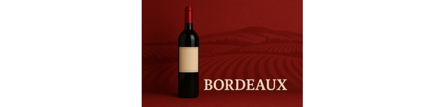 🍷 Bordeaux – Médoc, Saint-Émilion, Pomerol & Sauternes – Belgium