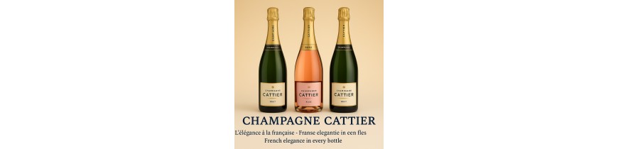 Champagne Cattier