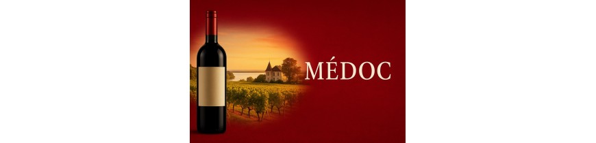 🍷  Médoc – classic Bordeaux reds, 24h delivery Belgium