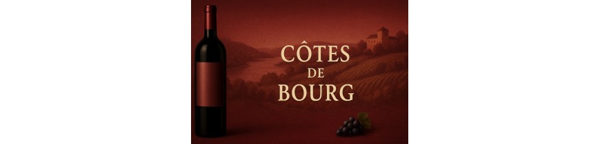 🍷 Côtes de Bourg – Right Bank Bordeaux, 24h delivery Belgium