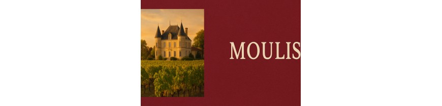 🍷  Moulis-en-Médoc – elegant cabernet, 24h delivery Belgium