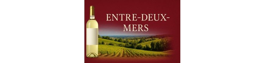 🍋 Entre-Deux-Mers – crisp dry whites, 24h delivery Belgium